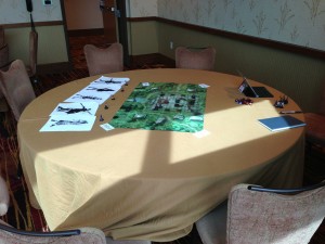 Table set up in prep for Steve's Thursday game